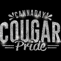 GLT62 SILVER GLITTER Thumbnail