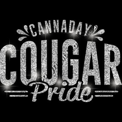 GLT62 SILVER GLITTER Thumbnail