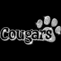 GLT17 SILVER GLITTER Thumbnail